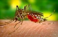 Dengue ou Covid? Veja diferenças e semelhanças entre as doenças para saber identificar os sintomas