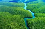 ONG mostra como governos ameaçam unidades de conservação da Amazônia