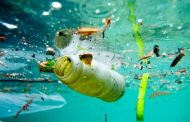 Pesquisa mostra que plástico no fundo do mar não se decompõe