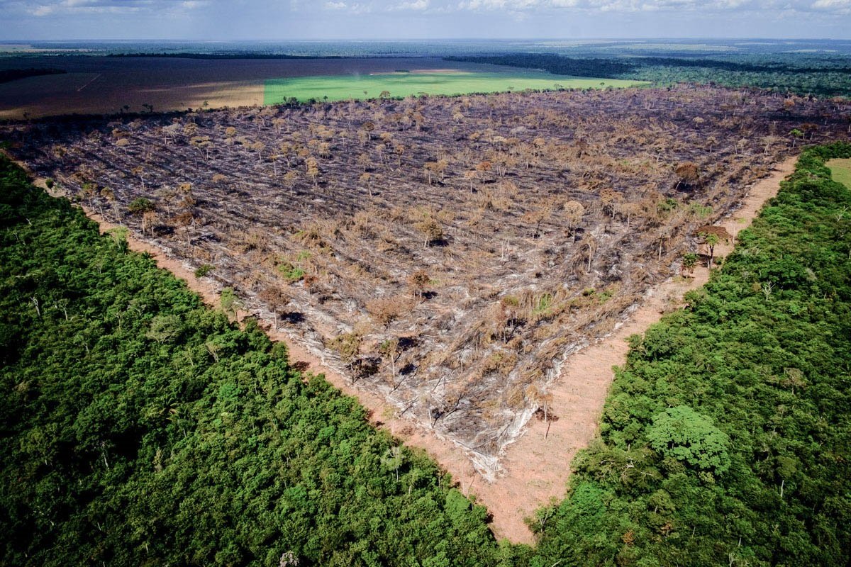 Área com alerta de desmatamento na Amazônia sobe 85% em 2019 ante 2018, segundo o Inpe