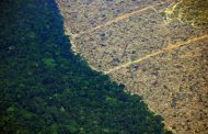 Alertas de desmatamento na Amazônia crescem 51,45% no primeiro trimestre, mostram dados do Inpe