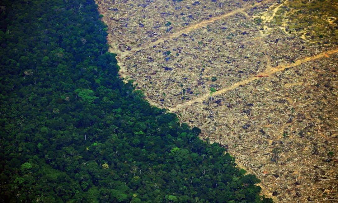 Alertas de desmatamento na Amazônia crescem 51,45% no primeiro trimestre, mostram dados do Inpe