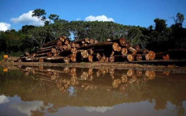 Imprensa internacional repercute maior desmatamento na Amazônia em 15 anos