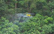 Pulverização com drone em Santana de Parnaíba (SP) reduz em 93% incidência de mosquitos